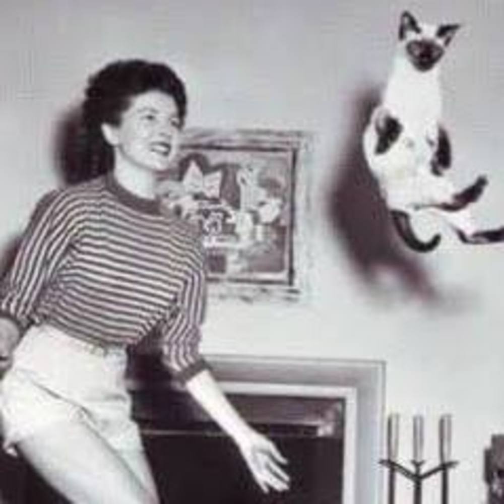 Meet your Posher, Dianne